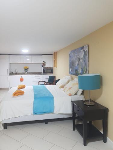 Una cama o camas en una habitación de Spectacular Furnished Studio