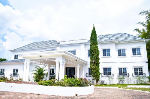 a white house with a tree in front of it at JamGolia Place in Mandeville