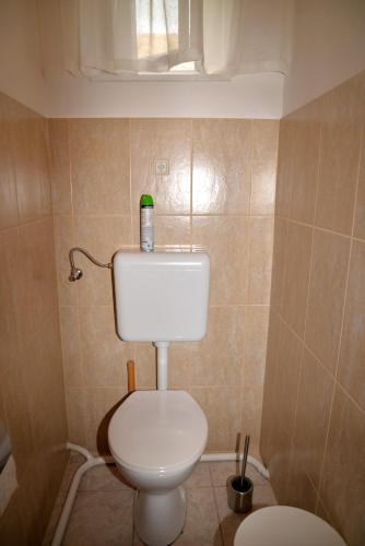 a bathroom with a toilet with a green bottle on it at Czigler Vendégház in Bátaszék