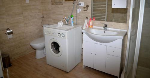 a bathroom with a washing machine and a sink at Czigler Vendégház in Bátaszék