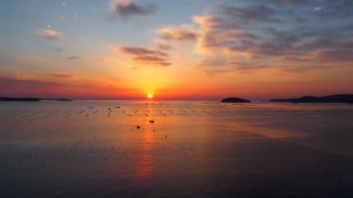 a flock of birds on the beach at sunset at Minami Sanriku Hotel kanyo in Shizukawa