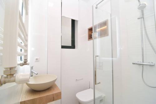 e bagno con lavandino, servizi igienici e doccia. di Five Windows to La Latina by Batuecas a Madrid