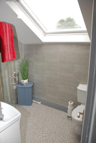 a bathroom with a toilet and a skylight at Tranquility in Longford