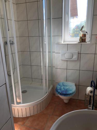 a bathroom with a shower and a toilet at Ferienwohnung im Park 1 in Lenschow
