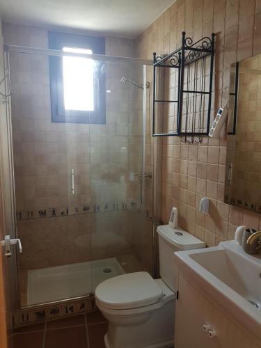 a bathroom with a toilet and a shower and a sink at Cal Antonio in Tudela del Segre