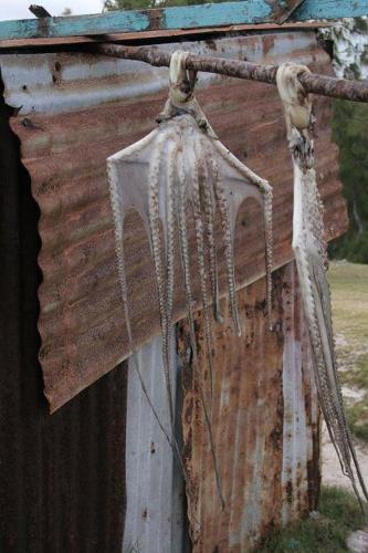 a pole with icicles hanging from the side of a building at L'Heritage - Vue sur mer in Rodrigues Island