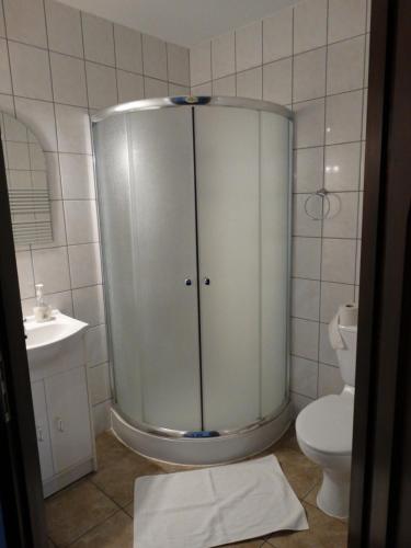 a bathroom with a shower and a toilet at Białe Wzgórze in Okonek