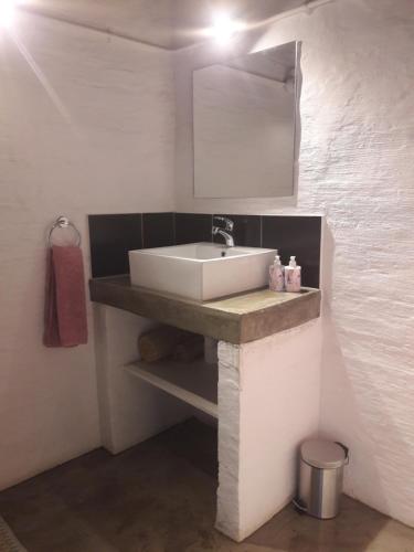 un baño con lavabo y espejo en Entire Industrial-Style Loft in Maboneng, en Johannesburgo