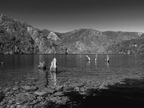 a group of birds swimming in a lake with mountains at Cabanas L'ESCALE in Coñaripe