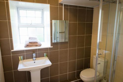 a bathroom with a sink and a toilet and a window at Ballinwillin House in Mitchelstown