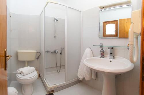 a bathroom with a shower and a sink and a toilet at Nikos Studios and Apartments in Sami
