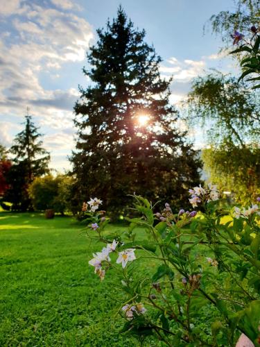 Zahrada ubytování Agriturismo di Charme erbadoro