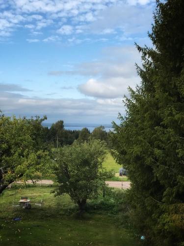 a park with trees and a picnic table in the grass at Det Gamla Panget in Tällberg