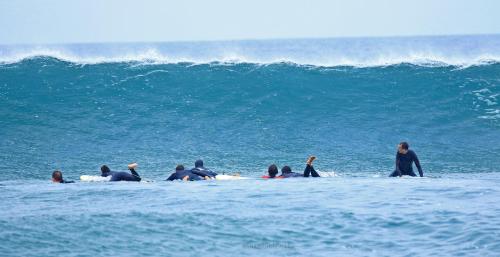 Clientes alojados en Blacksheep Sagres Guesthouse & Surf