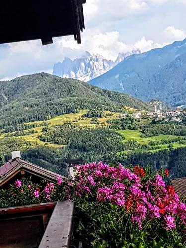 - un balcon fleuri offrant une vue sur les montagnes dans l'établissement Schnellehof, à Velturno