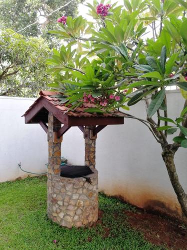 Taman di luar Wishing Well Apartment