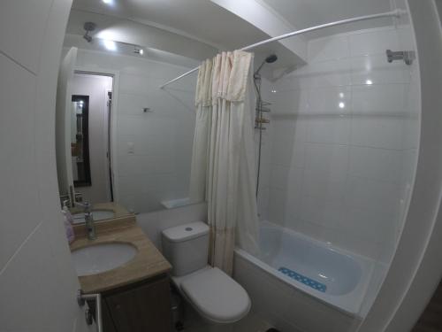 a bathroom with a toilet and a sink and a shower at Departamento reñaca bosque in Viña del Mar