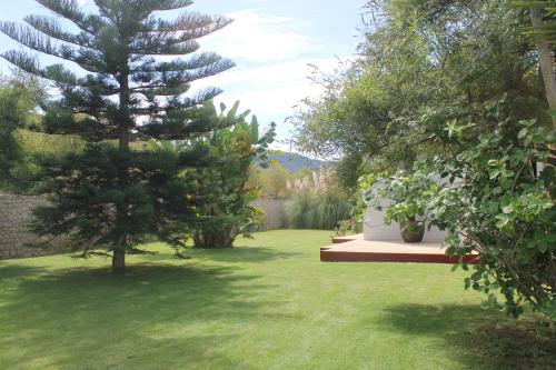 a garden with a pine tree and a bench at Villa Ca na Vinya in Cala Tarida