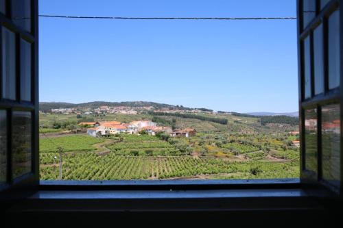 a view of a vineyard from a window at Solar dos Avós in Sabrosa