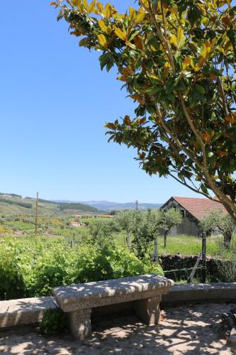 a stone bench sitting under a tree in a field at Solar dos Avós in Sabrosa