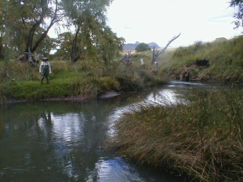 a person is standing next to a river at Royal Coachman in Clarens
