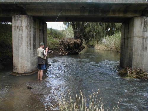 a man is standing in the water under a bridge at Royal Coachman in Clarens