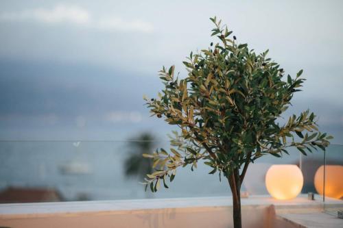 a tree sitting on a table next to a lamp at Amaryllis in Nafpaktos