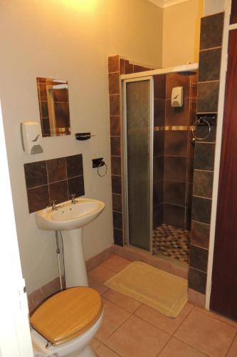 a bathroom with a toilet and a sink and a shower at The Big Tree Guest House in Hopetown