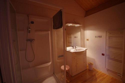 a bathroom with a shower and a sink at Lupin in Formiguères