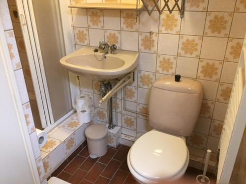 a small bathroom with a toilet and a sink at Gezellige zolder in Wassenaar met dakterras in Wassenaar