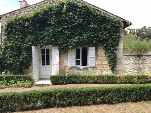 an old stone house with a large tree growing around it at La Laiterie du Logis in Chaniers