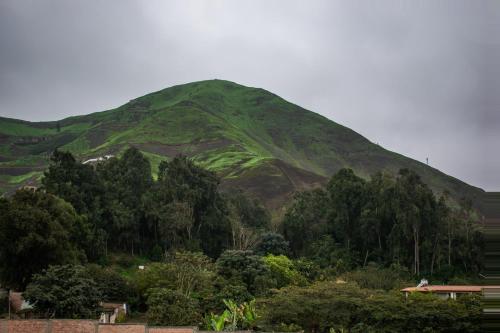a green hill with trees in front of a mountain at Casa Boutique QX- Pachacamac in Pachacamac