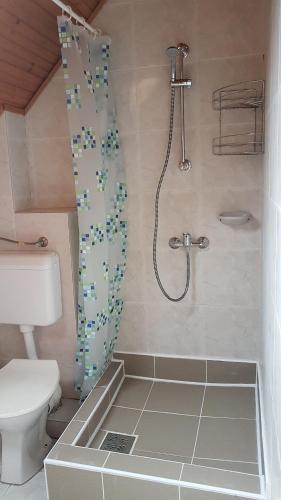 a bathroom with a shower with a toilet and a shower curtain at Szatmári Vendégház in Badacsonytomaj