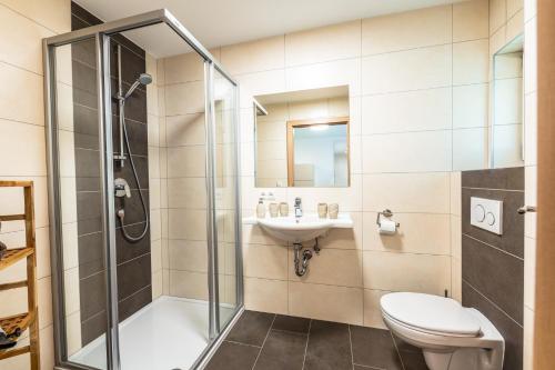 a bathroom with a shower and a toilet and a sink at Gästehaus Huben in Huben