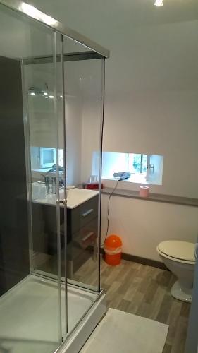 une salle de bain avec une douche en verre et des toilettes dans l'établissement Belle Longère, à Campeaux