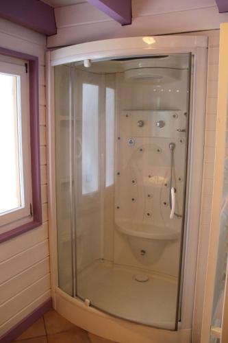 La salle de bains est pourvue d'une douche en verre et de toilettes. dans l'établissement Chalet centaurée - Rémy HEROLD, à Xonrupt-Longemer