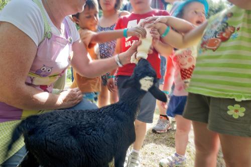 a woman feeding a black ostrich to a group of children at Vilar Rural De Sant Hilari Sacalm by Serhs Hotels in Sant Hilari Sacalm