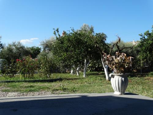 Zahrada ubytování Stavi apartments