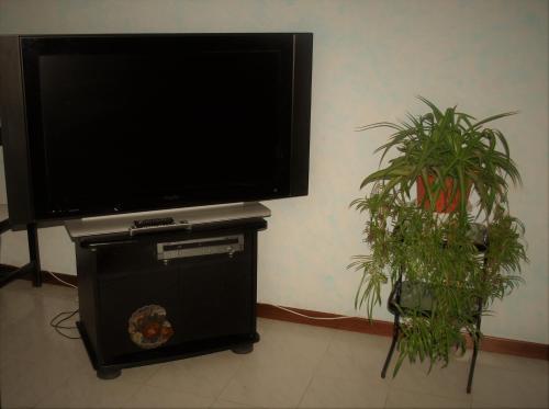- une télévision à écran plat sur un support à côté d'une plante dans l'établissement Villino alle terme, à Viterbe