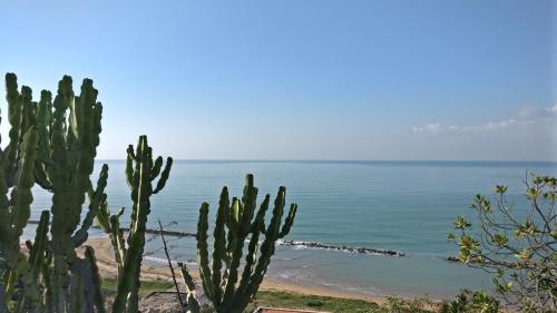 a cactus on a beach with the ocean in the background at B&B Villa Maiolica in San Leone