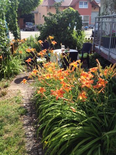 Un jardín fuera de Gästehaus Europa