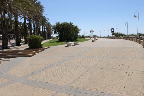 a brick road with palm trees on the side at atico en Las Americas Islantilla primera línea de playa in Islantilla