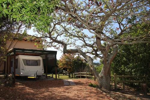 Taman di luar Coral Tree SelfCatering
