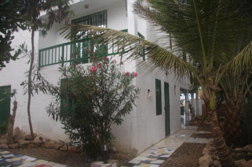a white building with palm trees in front of it at Surf House Hostel in Santa Maria