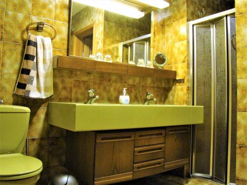 ein Badezimmer mit einem grünen Waschbecken und einem WC in der Unterkunft Ferienwohnung Heidi in Altena