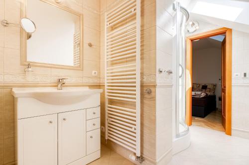 un bagno con lavandino e doccia di Apartmány na Farmě a Kurdějov