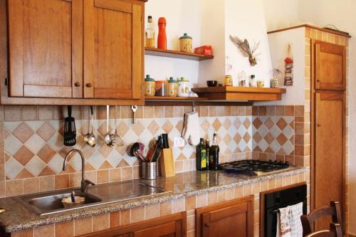 a kitchen with a sink and a counter top at Abba Urci in Tertenìa