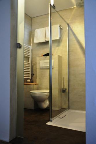 a bathroom with a toilet and a shower at Pension Hirsch in Lechbruck