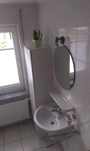 a bathroom with a sink and a mirror at Unter den Linden 7 in Ralswiek