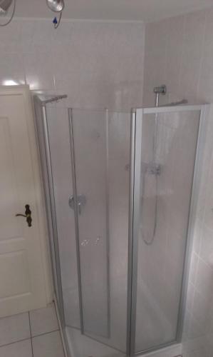 a shower with a glass door in a bathroom at Unter den Linden 7 in Ralswiek